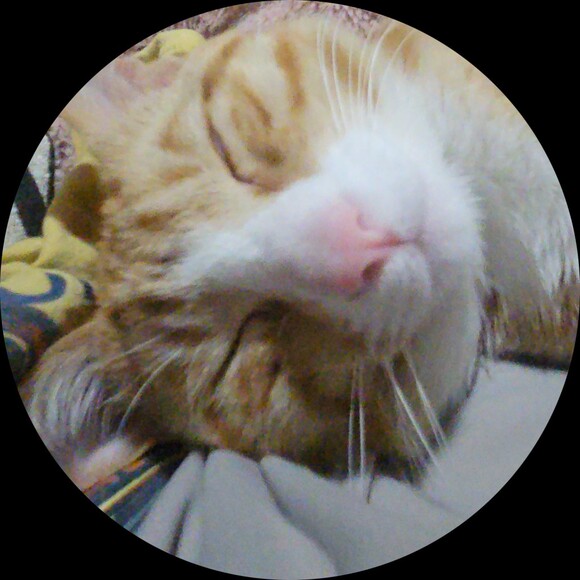 nathalymay278